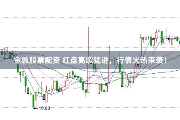 金融股票配資 紅盤高歌猛進,行情火熱來襲!