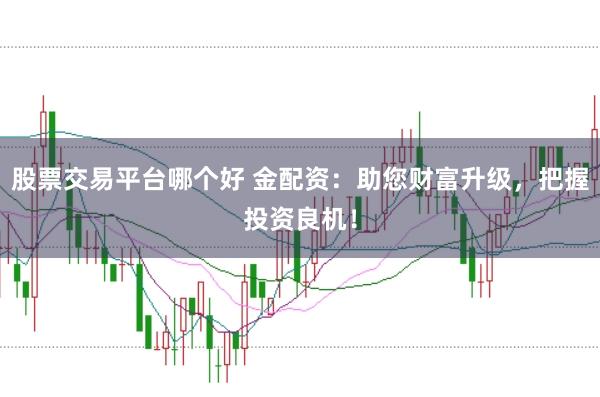 股票交易平臺哪個好 金配資：助您財富升級，把握投資良機！