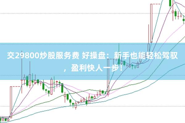 交29800炒股服務(wù)費 好操盤：新手也能輕松駕馭，盈利快人一步！