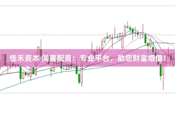 佳禾資本 聞喜配資:專業平臺,助您財富增值!